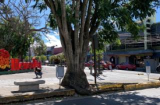 Remodelación costado oeste parque Nicolás Ulloa