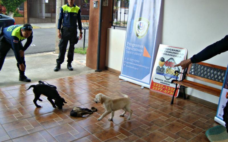 Seguridad Comunitaria