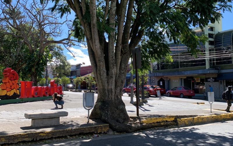 Remodelación costado oeste parque Nicolás Ulloa