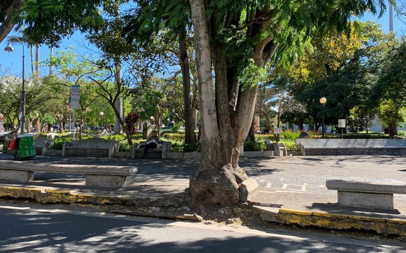 Remodelación costado oeste parque Nicolás Ulloa