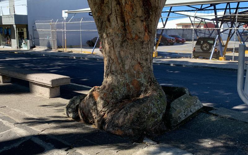 Remodelación costado oeste parque Nicolás Ulloa