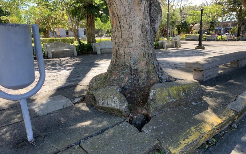 Remodelación costado oeste parque Nicolás Ulloa