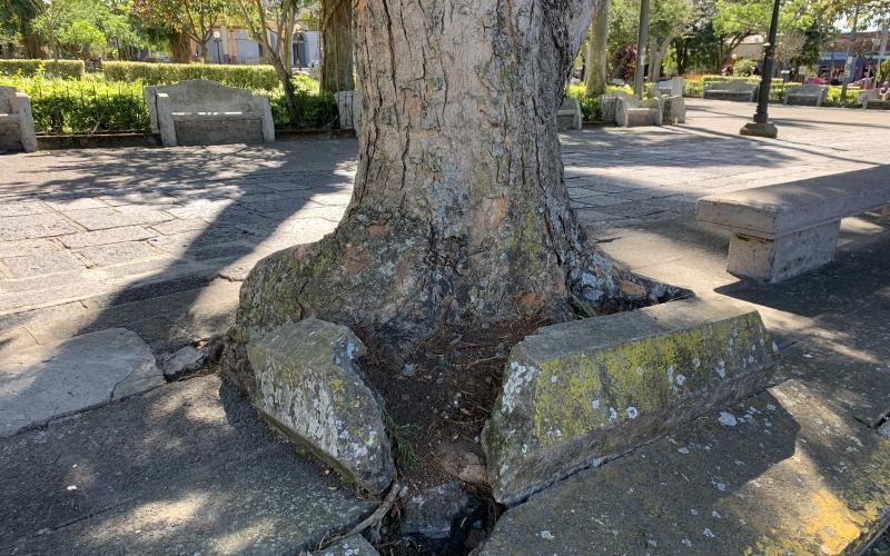 Remodelación costado oeste parque Nicolás Ulloa