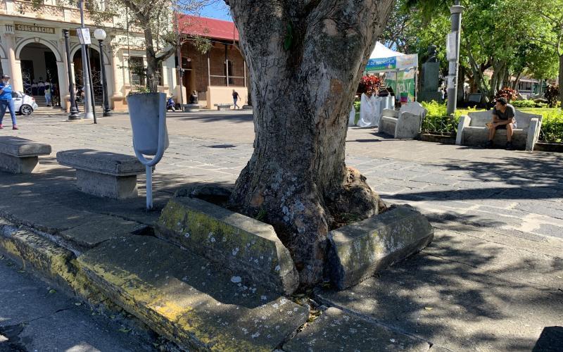 Remodelación costado oeste parque Nicolás Ulloa