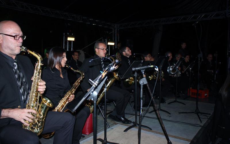 concierto gaviota