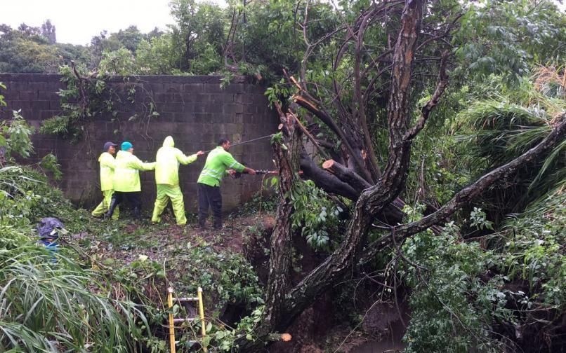 La Municipalidad de Heredia trabaja en labores propias de atención de las emergencias ocasionada por la tormenta Tropical que afecta actualmente el país.