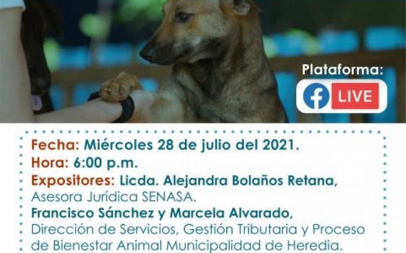 Normativa sobre bienestar animal y tenencia responsable