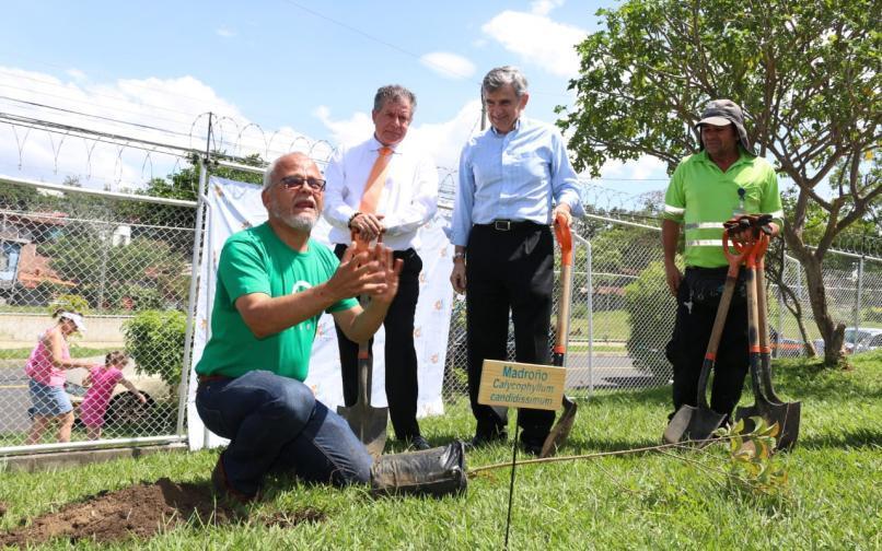 Inicia proyecto de arborización más grande de Costa Rica